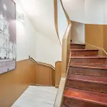 Souto Centro 布拉加